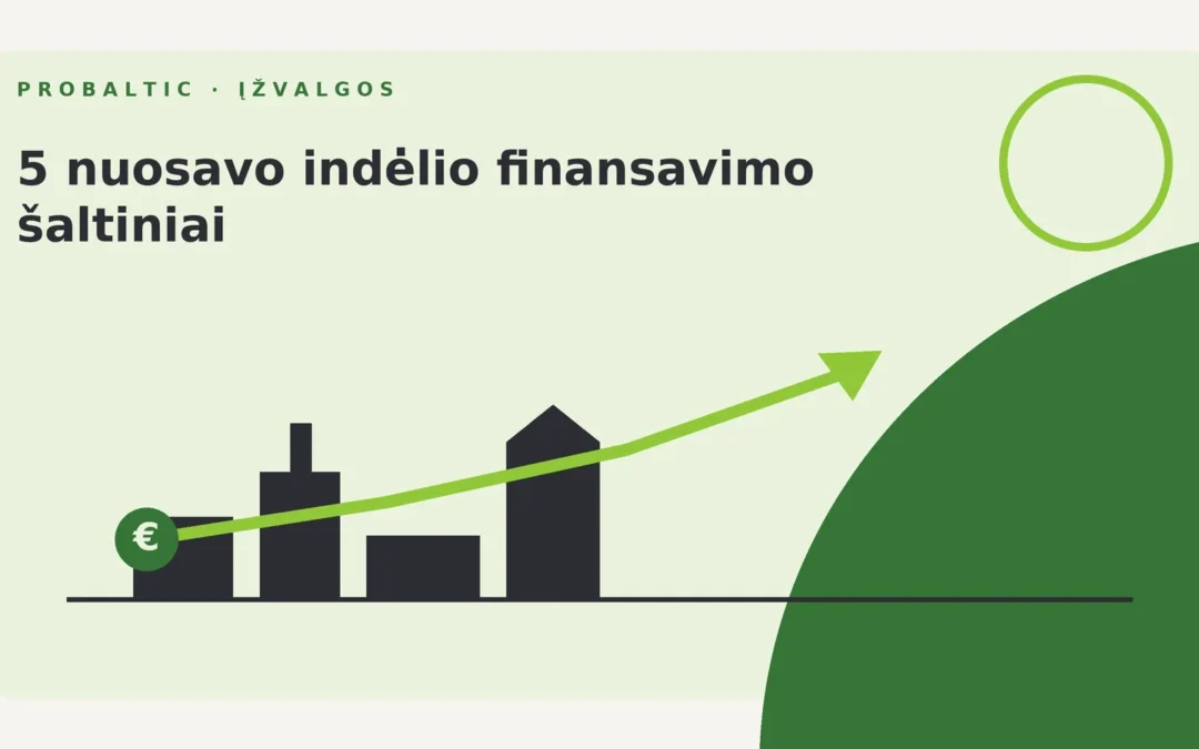 5 nuosavo indėlio finansavimo šaltiniai