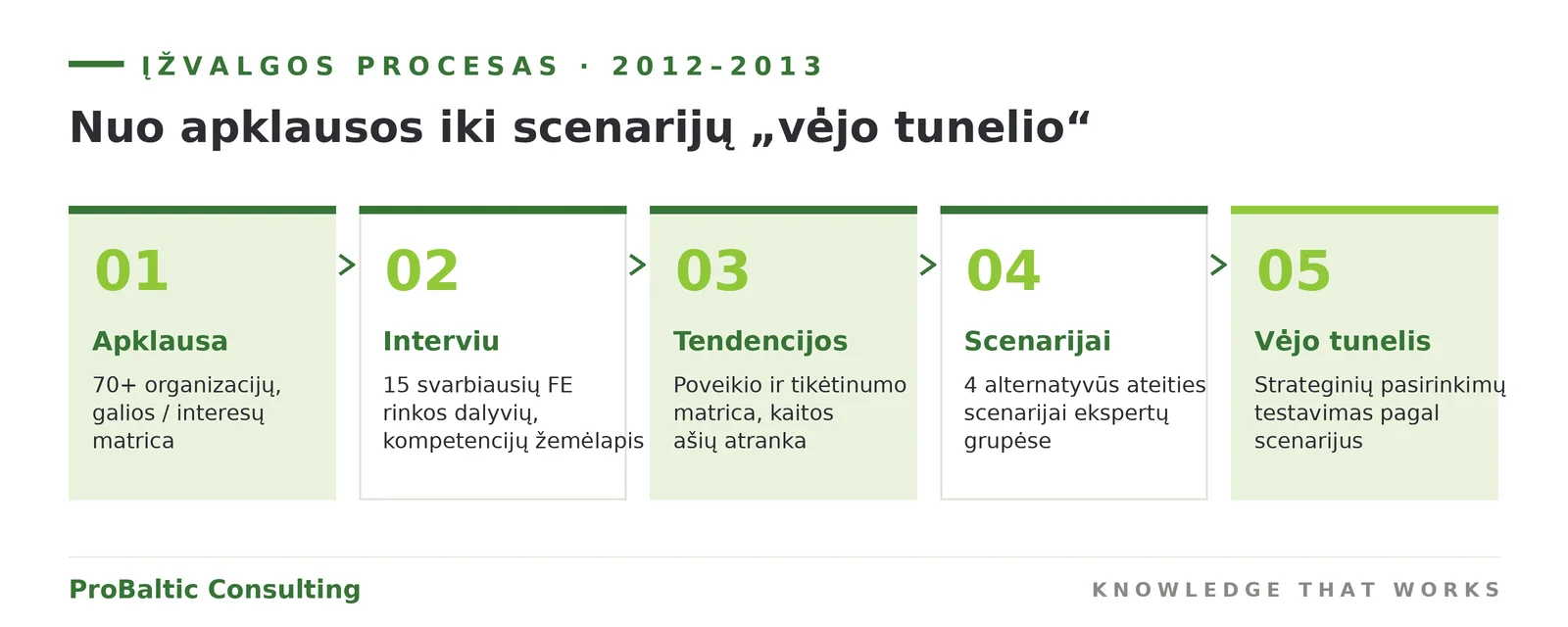 Fotoelektros sektoriaus įžvalgos procesas 2012–2013 m.: nuo apklausos iki scenarijų vėjo tunelio