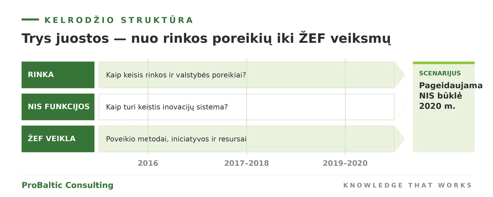 Kelrodžio struktūra: rinkos, NIS funkcijų ir ŽEF veiklos juostos 2016–2020 m.