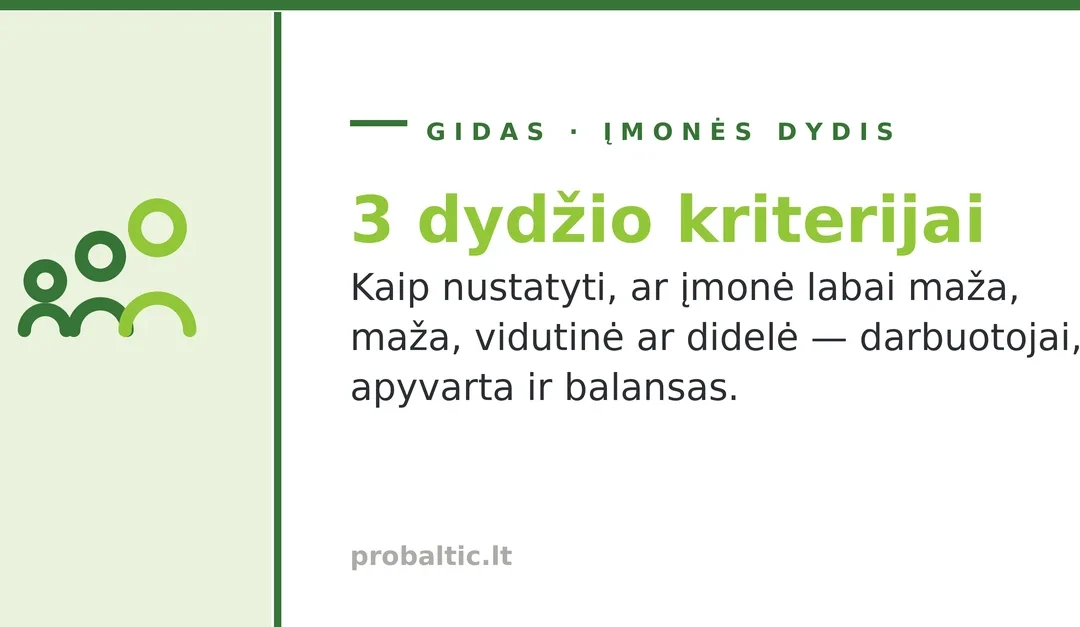 3 kriterijai nustatantys ar įmonė labai maža, maža, vidutinė ar didelė